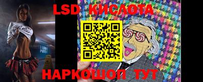 прущие грибы Партизанск