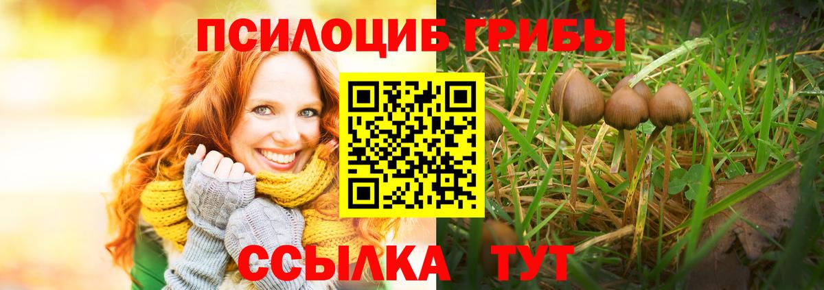 Псилоцибиновые грибы Cubensis  Галлюциногенные грибы ЛСД  Павлово  Вход с VPN 